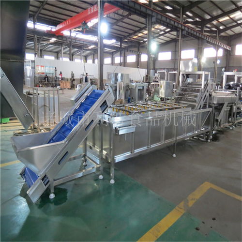 定制大枣清洗成套设备源头好货解析——以诸城利特机械公司为例